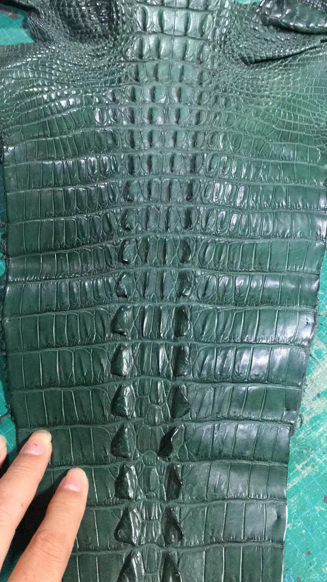 Dark green genuine crocodile skin leather backpack by Rossie Viren, showcasing a sleek, textured design with sturdy straps.
