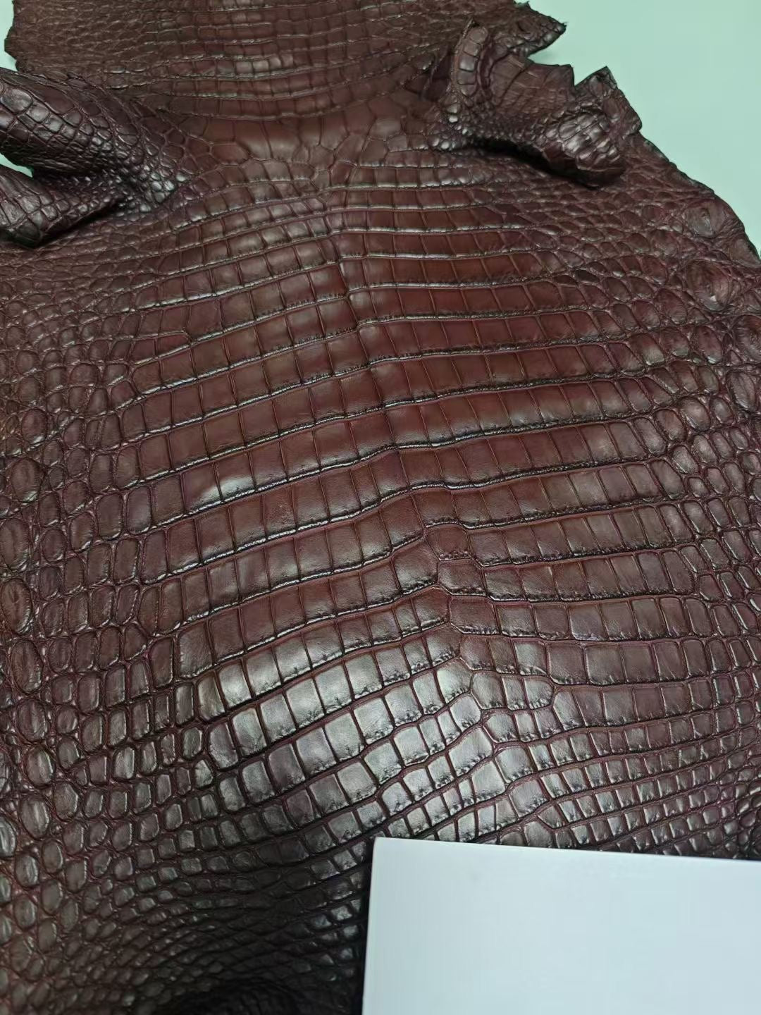 Large Rossie Viren women's genuine crocodile skin top handle canvas bag with elegant design and sturdy handles.