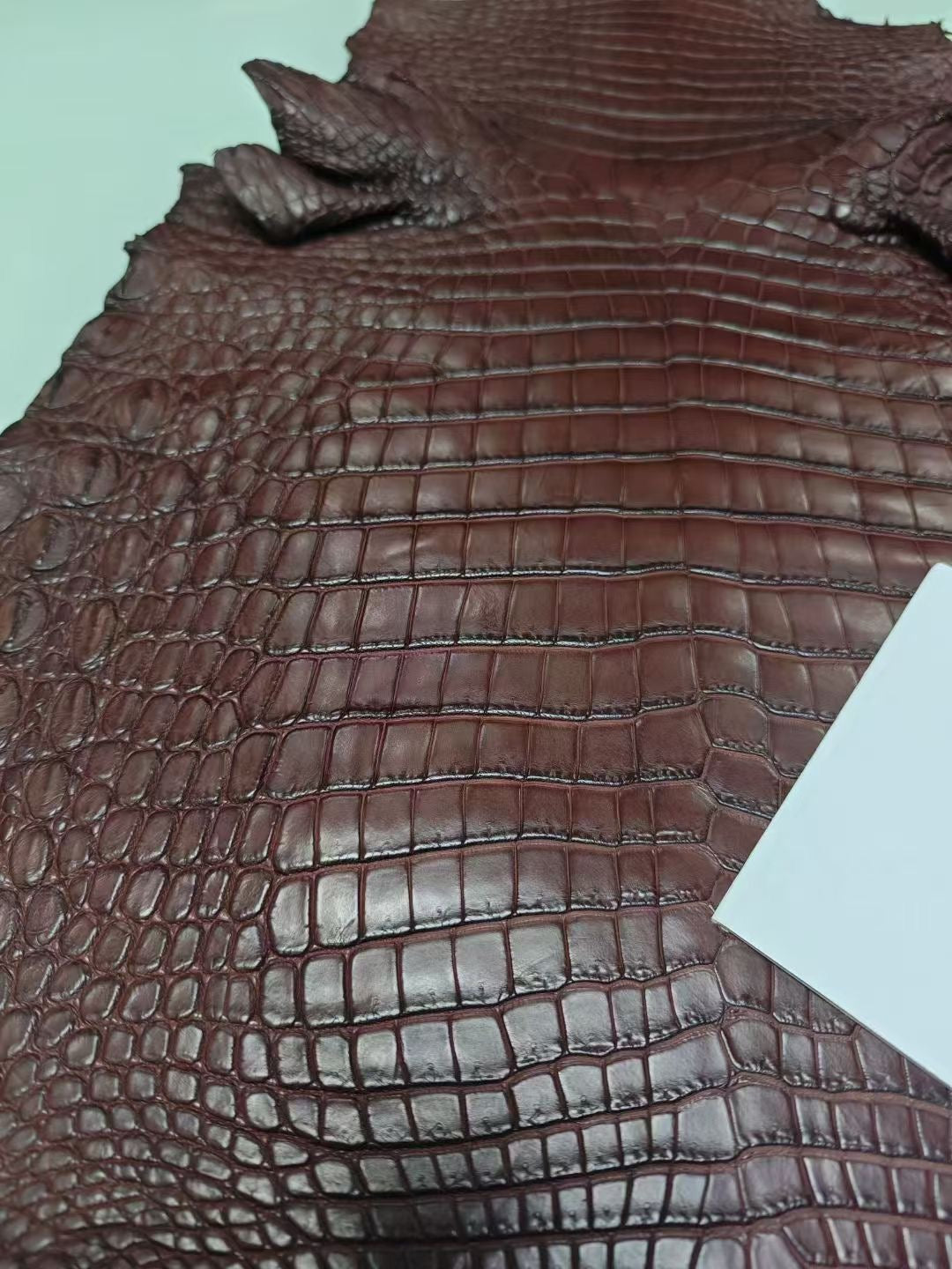 Large women's genuine crocodile skin top handle canvas bag by Rossie Viren with a structured design and top handle.