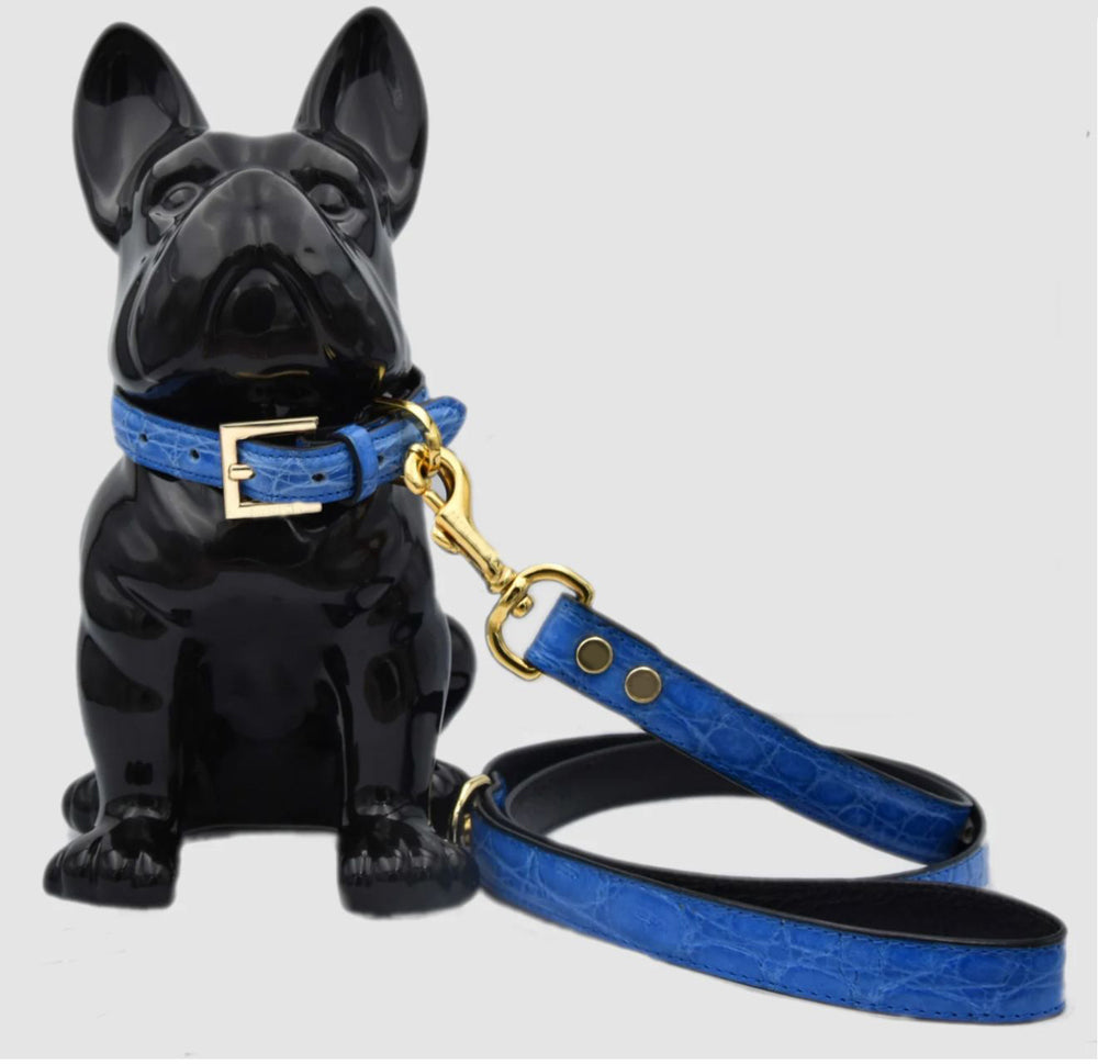 Genuine crocodile leather dog leash and collar set by Rossie Viren, crafted with premium textured crocodile leather.