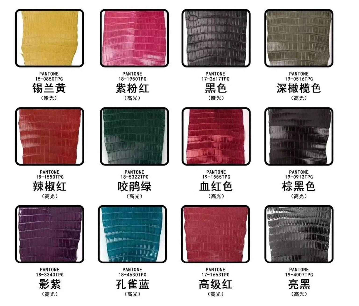 Crocodile skin belly leather in various colorways, showcasing the textured, luxurious surface of the Rossieviren exotic leather bag material.