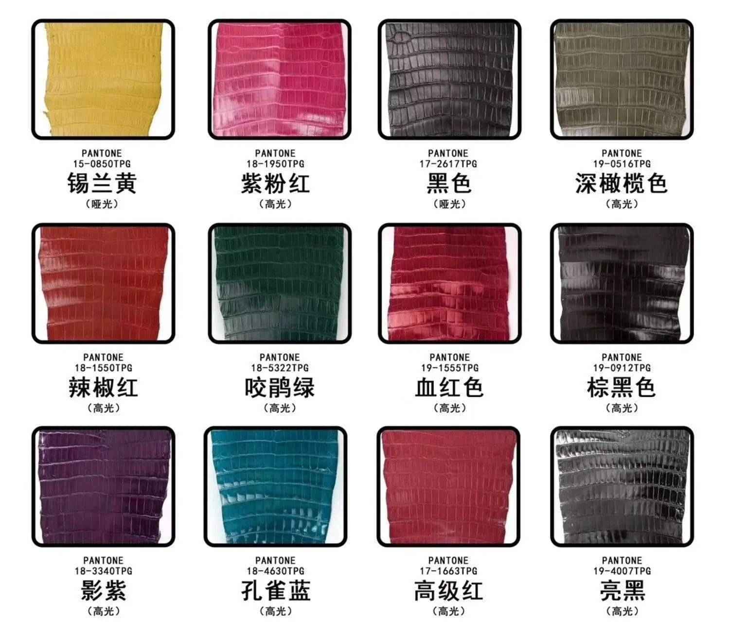 Crocodile skin belly leather in various colorways, showcasing the textured, luxurious surface of the Rossieviren exotic leather bag material.