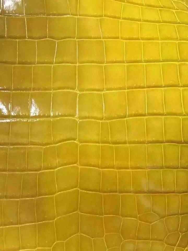 Crocodile skin belly leather in vibrant colorway, showcasing textured crocodile pattern on high-quality Exotic Skin Leather Bag or belt