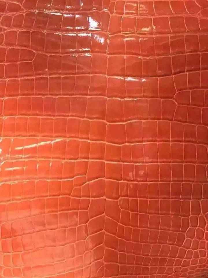 Close-up of crocodile belly leather in vibrant colorway, showcasing textured exotic skin used in Rossieviren crocodile handbags and belts.