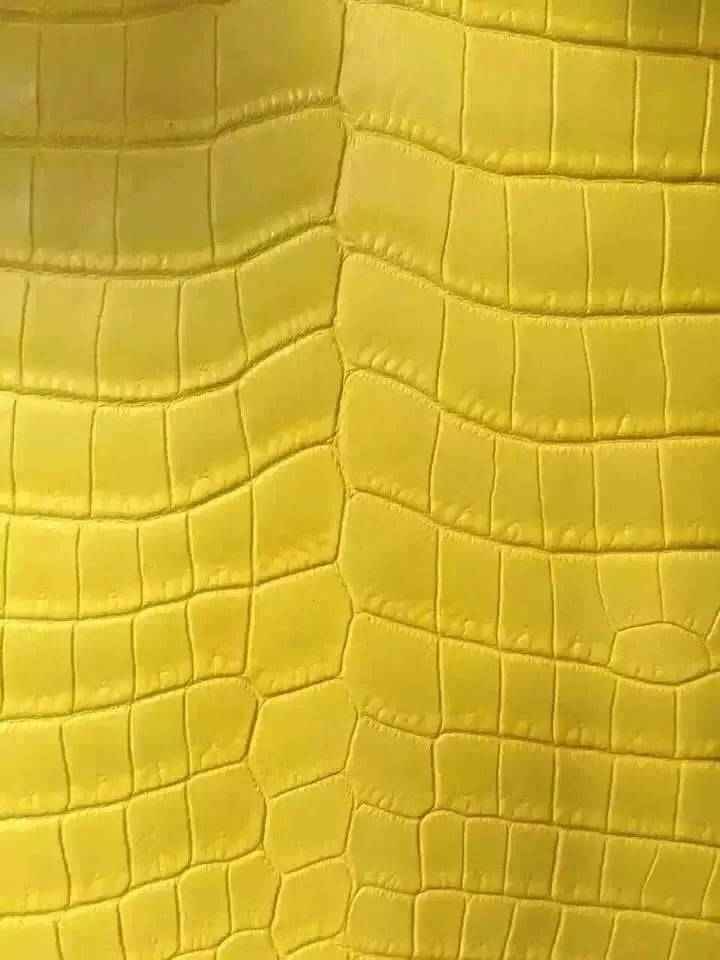 Crocodile skin belly leather bag in a vibrant colorway, showcasing textured crocodile pattern and handcrafted detail.