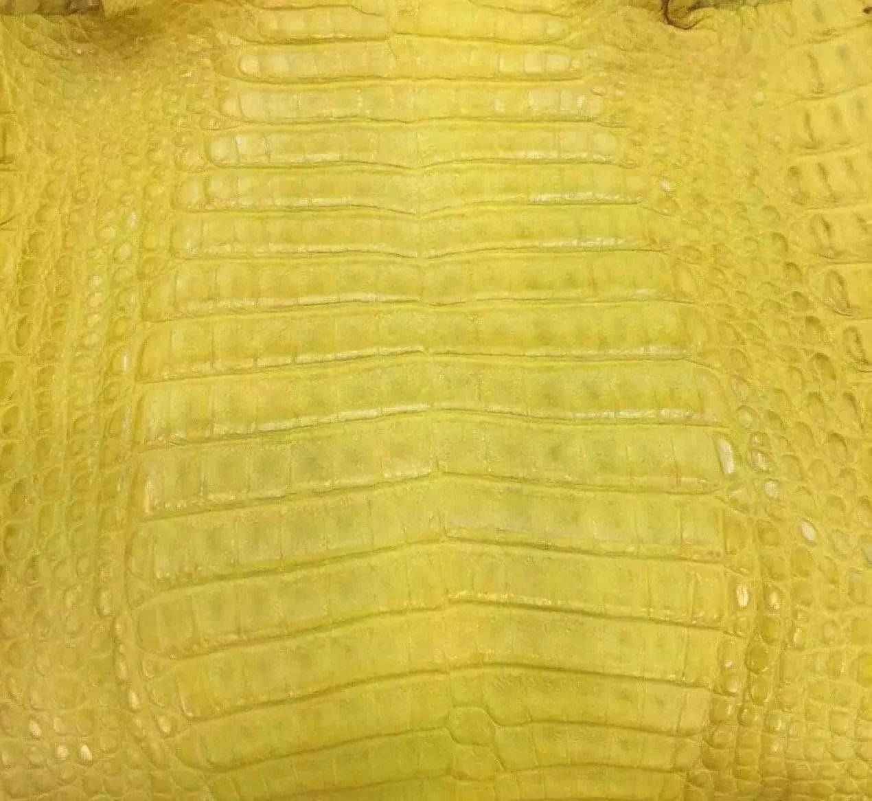 Close-up of crocodile belly leather in various colorways, showcasing textured exotic skin for handbags and belts.