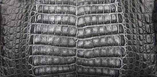 Crocodile skin belly leather in vibrant colorway, showcasing textured crocodile leather for a stylish handbag or belt.