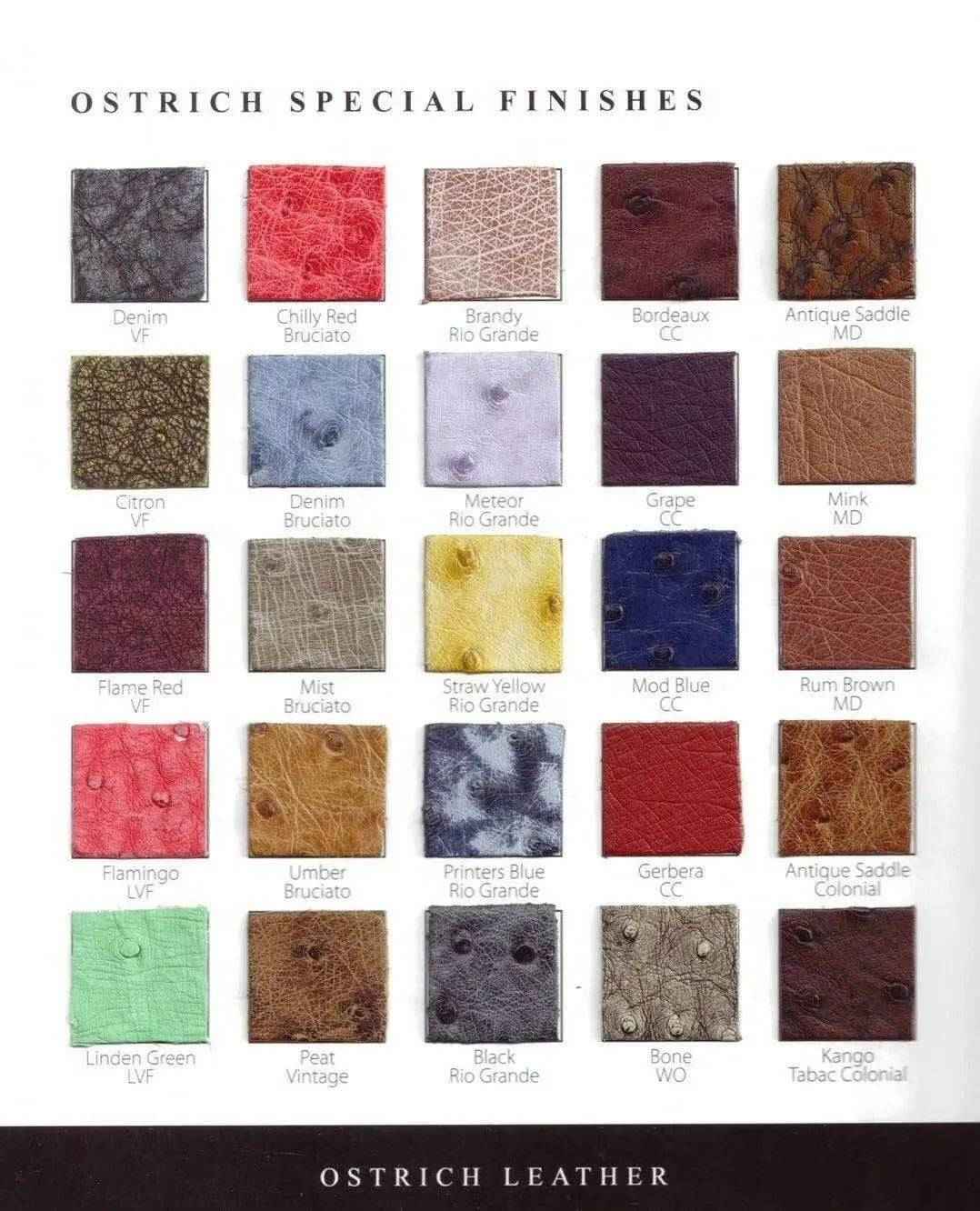 Ostrich Skin Leather Colorway