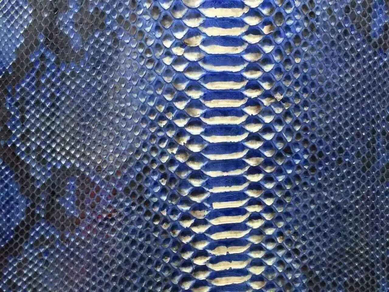 Exotic Python Skin Leather Colorway accessory from Rossieviren, showcasing textured python skin pattern in vibrant hues.