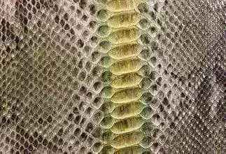 Exotic Python Skin Leather Colorway bag from Rossieviren, showcasing textured crocodile pattern in vibrant leather tones.