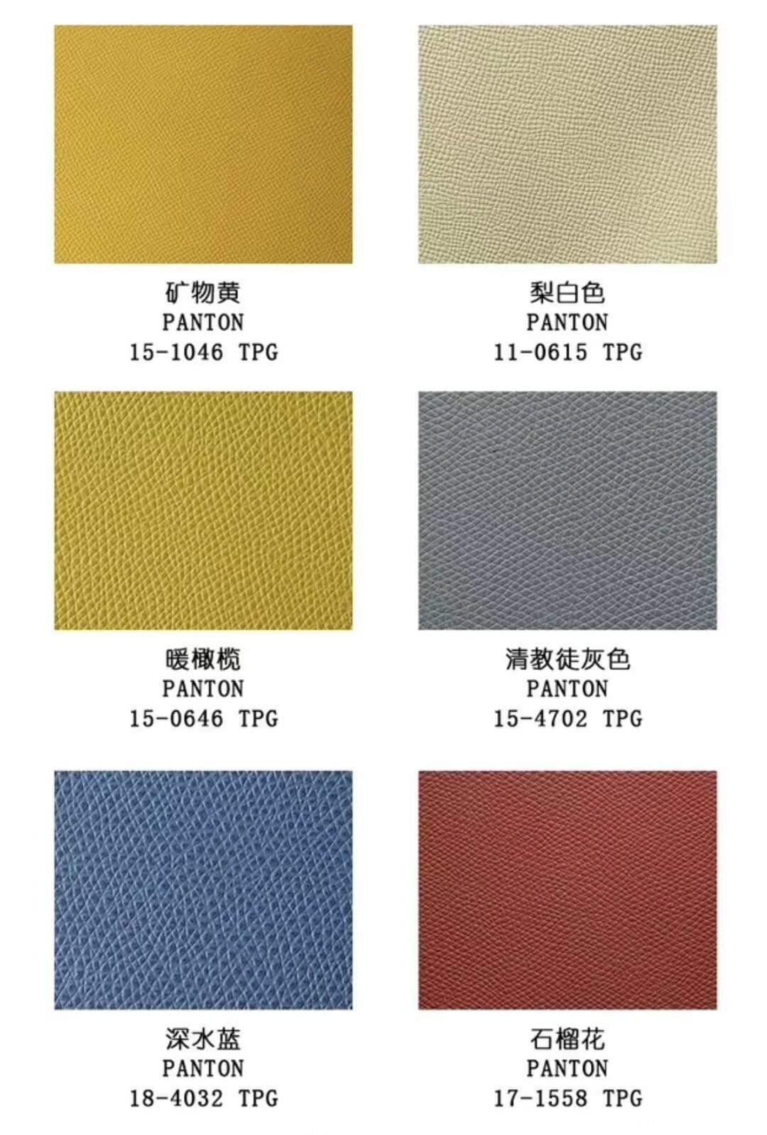 France Epsom Leather Colorway