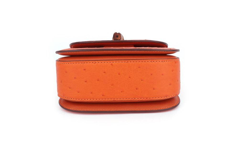 Rossie Viren ostrich leather nano bamboo top handle crossbody handbag with sleek design and compact size.