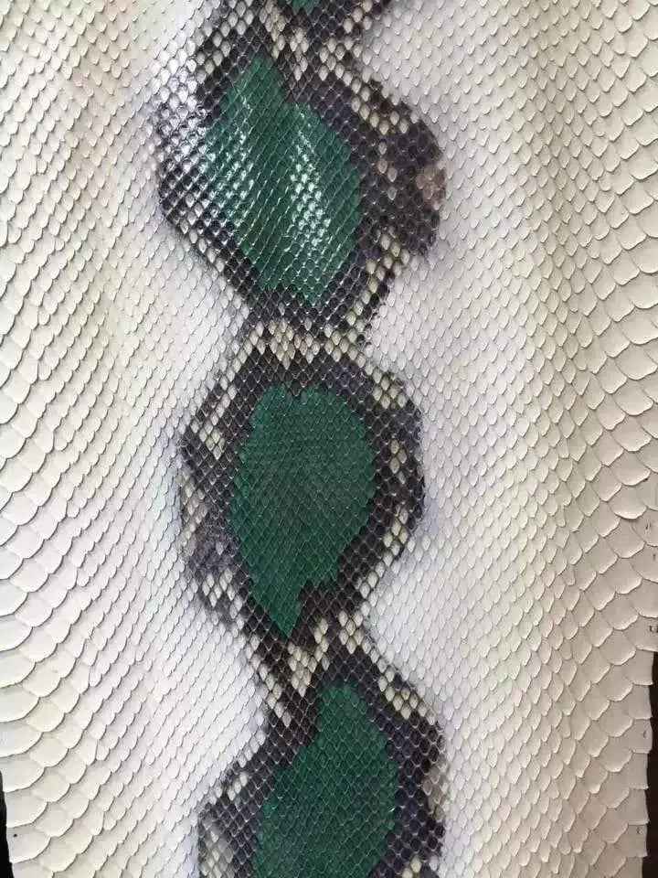 Exotic Python Skin Leather Colorway showing textured python pattern on a stylish accessory from Rossieviren.