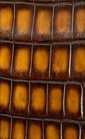 Vintage Genuine Crocodile Skin Leather  Passport Case Holder